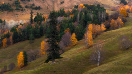 Осень / Осень