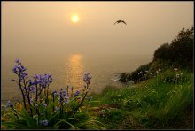 Солнечная бухта / Апрельское утро, Guernsey(Нормандскиe островa, UK).
Пейзажи Guernsey в слайд шоу:
http://www.youtube.com/watch?v=zdWgP9_VnPw