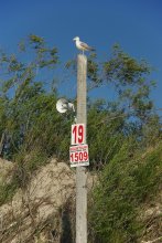 Внештатный спасатель / 1509-телефон спасательной службы на пляжах Паланги