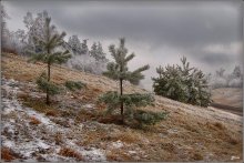 В предверии зимы / не за горами