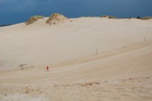песок 1 / дюны в Лебе ( Польша)