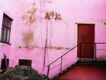 Pink wall / Pink wall