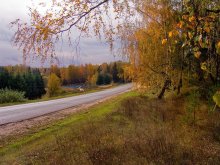 Дорога в осень / Дорога в осень