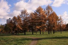 Осенняя проза / Вышел погулять в обеденный перерыв...