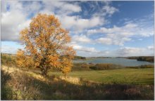 осень в дуброво / Дубровенское вдхр, вид сверху. P.S. с тенью в нижней части снимка - беда, причем в любое время года