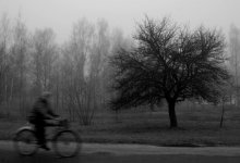 Осеннее настроение II / новополоцкий парк, одним туманным ноябрьским днем