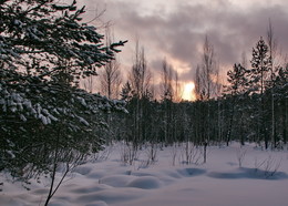 *На закате.** / Томская область.
