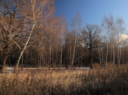 Поздняя осень / Поздняя осень