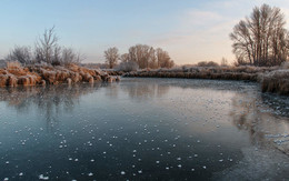 Ледяные цветы / рассвет,мороз,озеро