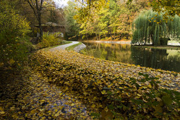 Осенний парк. / осень,парк,пруд ,прогулка