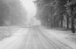 Силуэт / Калининградская обл.