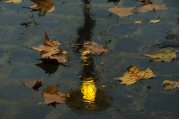 Фонарь и осень. / отражение,вода,фонарь,осень
