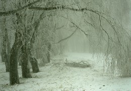 Пришла зима / Туманное утро