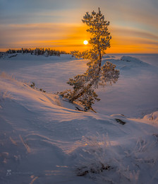 Сосна на острове / Зимний рассвет.
Карелия. Ладожское озеро. 
Приглашаю на фототур «Зимняя Ладога» с проживанием в коттедже. Подробности здесь https://vk.com/topic-69994899_34929759 (контакт) и https://www.facebook.com/groups/1755505914709044/ (фейсбук).