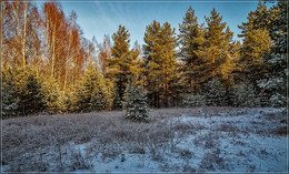 Первый день зимы 2018 № 4 / 01 декабря 2018 года, Подмосковье, Дрезна