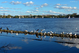 Alster Hamburg / Гамбург. Озеро Альстер