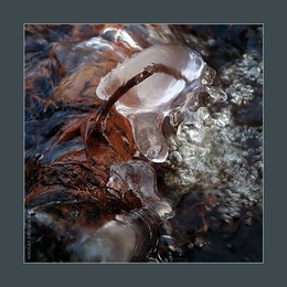 art ice 1. 2018 / Jonathan Swift's North Atmospheric Park

music: The Killers - Some Kind Of Love
https://www.youtube.com/watch?v=X777PXFR6hE