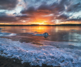 Осколки реки. / Устье Ковды, Мурманская область. Ноябрь 2018 г.
Эксклюзивные фототуры и экспедиции: http://photogeographic.ru/phototours/