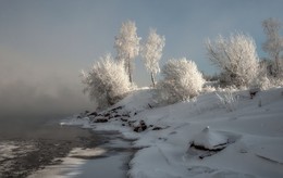 Мороз на Енисее / Изморозь в морозы на деревьях от Енисея.