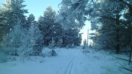 Заснеженная пятница / лыжная прогулка в заснеженную пятницу