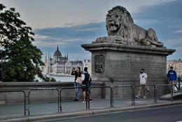 На посту / В 1852 году оба входа к мосту Сечени украсили статуями львов, которые выполнил известный скульптор Янош Маршалко. Выразительные скульптуры напоминали бронзовых львов на Трафальгарской площади и быстро обросли городскими преданиями.