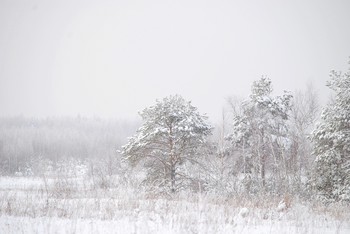 Запуржило... / Заметает метель, наступила зима.