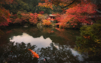 Момидзи Японии. / Япония . Осень 2018. Храм Дайго-дзи.
https://mikhaliuk.com/Japan-Phototour-Fuji-Sakura-flowering/