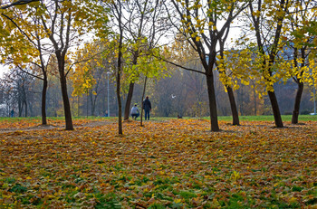охотничек... / осень, парк, Москва