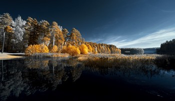 Утонула осень в отражениях. Инфракрасная фотография. / Теплый день октября на лесном озере. Инфракрасная съемка.