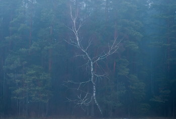 Крик. / ***