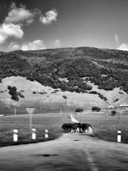 &nbsp; / [img]https://pp.userapi.com/c852236/v852236370/6bec3/gWegKH8pZhA.jpg[/img]

[img]https://pp.userapi.com/c852236/v852236370/6becc/9EJKAlCg2tY.jpg[/img]