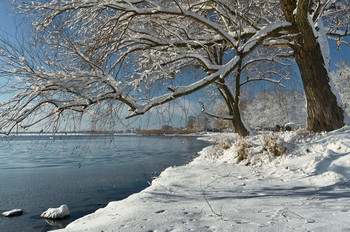 Зимняя зарисовка / Январский день у озера Лиман Харьковская область.