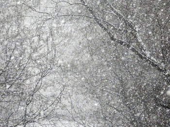 Зимняя зарисовка / снег идет, зима, Москва