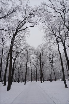 Зимняя зарисовка / _________