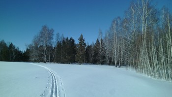 Зимняя зарисовка / лыжная тропа#прогулка#поле# лес
