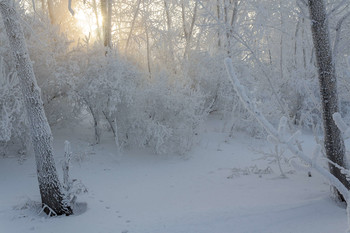 Свет... / г.Красноярск, остров Татышев на реке Енисей, температура-35 по Цельсию.