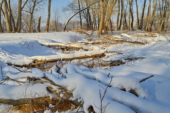 &nbsp; / весенний лед наломал дров...