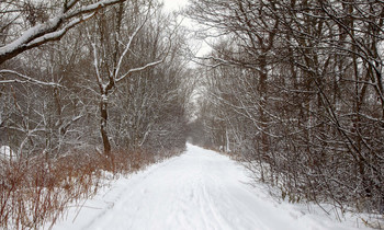 &nbsp; / Кронштадт
Западный Котлин