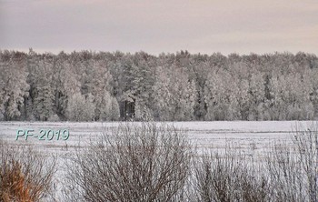 PF-2019 / Желаю новых фоток и идей, новых радостных затей