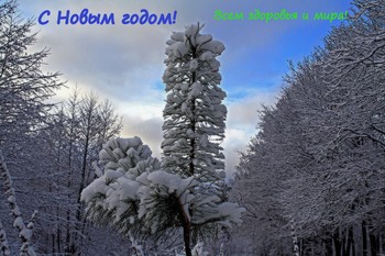 С наступающим! / Всем всех благ и успехов в новых починах!