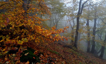 Осенний Кавказ......... / КМВ. Железноводск. Октябрь