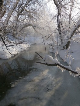 В зимний день у реки / -22, над рекой клубится пар
Фото с мобильного телефона