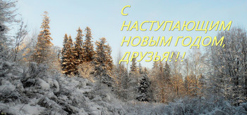 С НАСТУПАЮЩИМ НОВЫМ ГОДОМ, ДРУЗЬЯ! / Петербург. Шуваловский парк. Январь