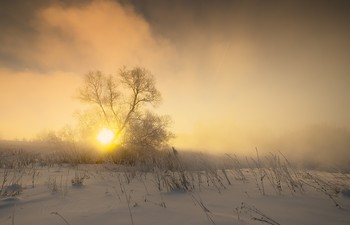 Золото морозного утра / Зимние туманы.