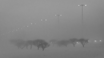 Дорога домой / Туман, туман