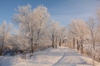 Первый день Нового года. / Первый прекрасный морозный день 1 января 2019 года.