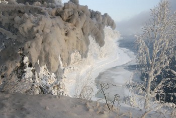 Снежные лапы. / Деревья после морозов у воды.