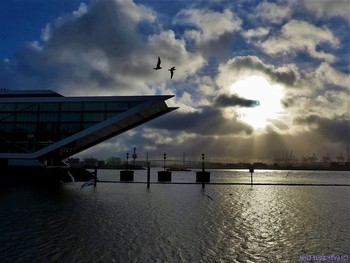 Hamburg. Dockland / Dockland - офисное здание на Эльбе возле бывшего паромного терминала Англии в районе Альтона (Альтштадт) в Гамбурге. Шестиэтажное здание имеет отличительное поперечное сечение в форме параллелограмма и выглядит как корабль на воде. Строительство было завершено в 2005 году и открыто 31 января 2006 года. 

Дизайн для Dockland сделан фирмой Hamburger Büro BRT Architekten Bothe Richter Teherani. Особенностью здания является диагональное движение пассажирских лифтов. 

Терраса на крыше почти 500 квадратных метров открывает прекрасный вид на гавань и северные берега Эльбы. Вход на терассу свободен
Ещё фото: http://fotokto.ru/id156888/photo?album=60147#photo5214256
http://fotokto.ru/id156888/photo#photo5012056
http://fotokto.ru/id156888/photo?album=62940#photo5509052