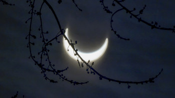 Солнечное затмение 14.01.2011 / Луна закрыла только часть солнечного диска.