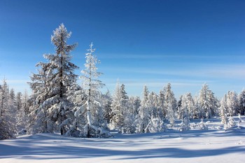 зимний пейзаж / Якутия